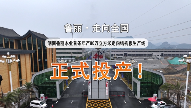 湖南魯麗首條年產(chǎn)80萬(wàn)立方米定向結(jié)構(gòu)板生產(chǎn)線正式投產(chǎn)