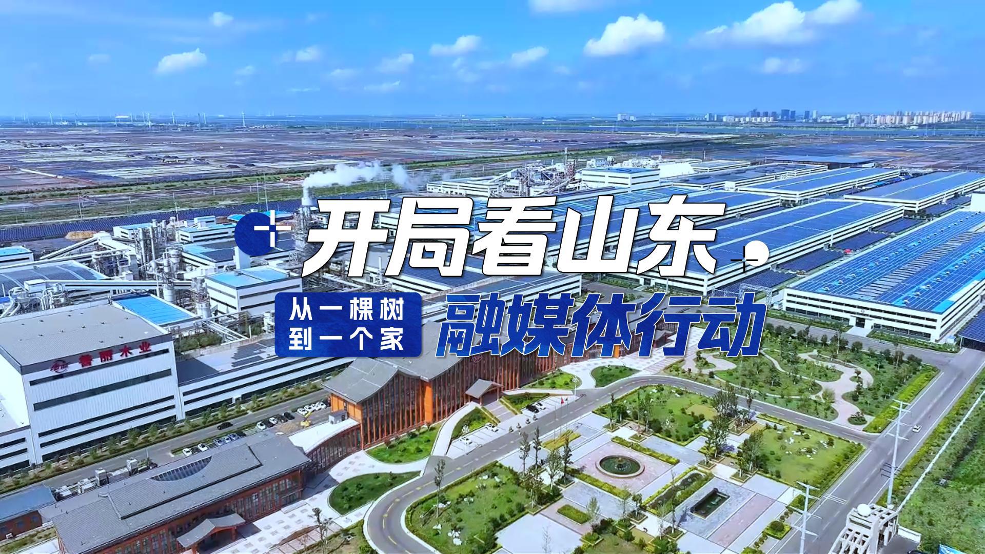 “開局看山東”融媒體行動聚焦魯麗 北京、上海等30余家廣播電視臺沉浸式感受“從一棵樹到一個家”的智造新活力